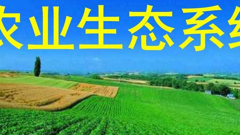 农民专业合作社运营模式哪家好