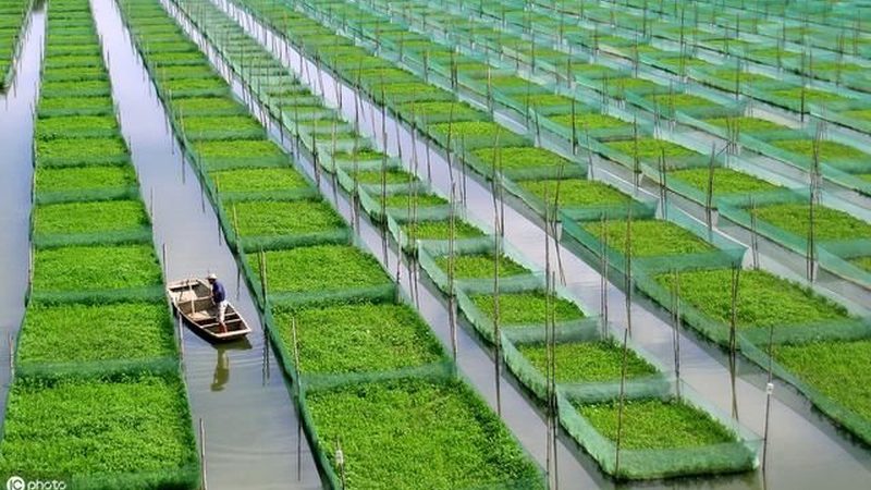 农产品检测报告，费用多少背后的考量因素