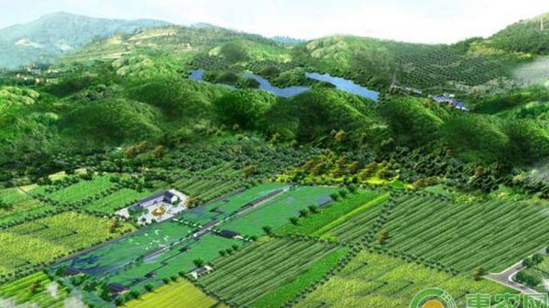 生鲜配送公司加盟代理费用：揭秘加盟背后的成本与价值