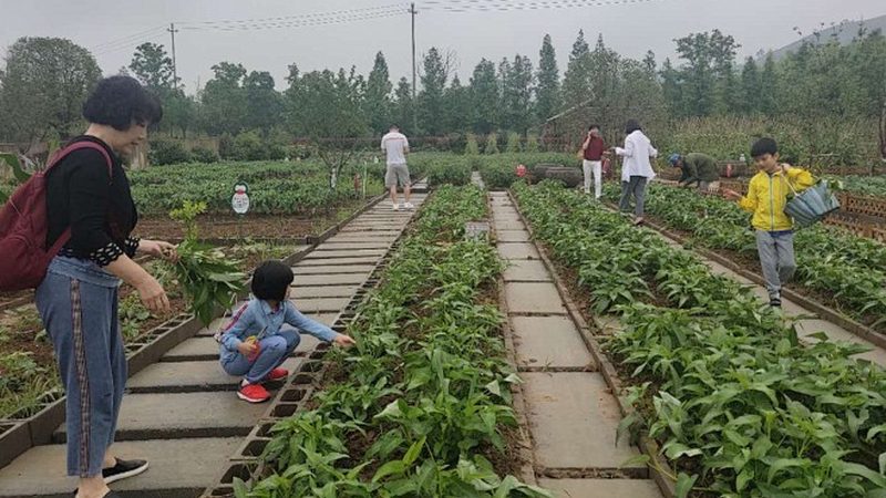上海智慧农业平台哪家靠谱