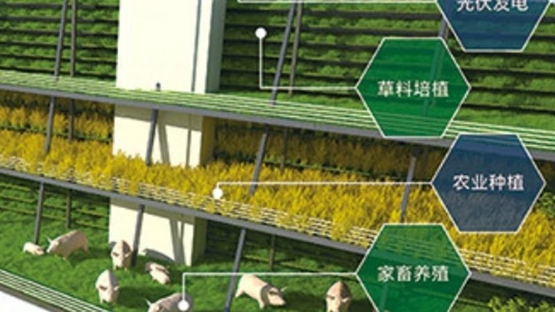 农业种植机械型号对比：如何选择最适合的设备