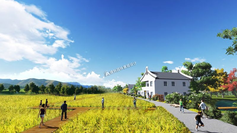 大棚蔬菜种植，如何打造高效学习网站？**