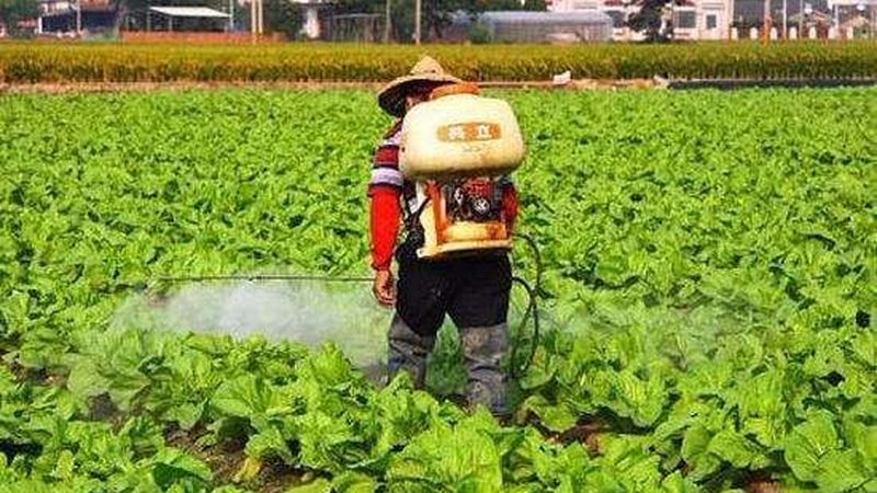 家庭农场项目，如何精准定位你的选择？**