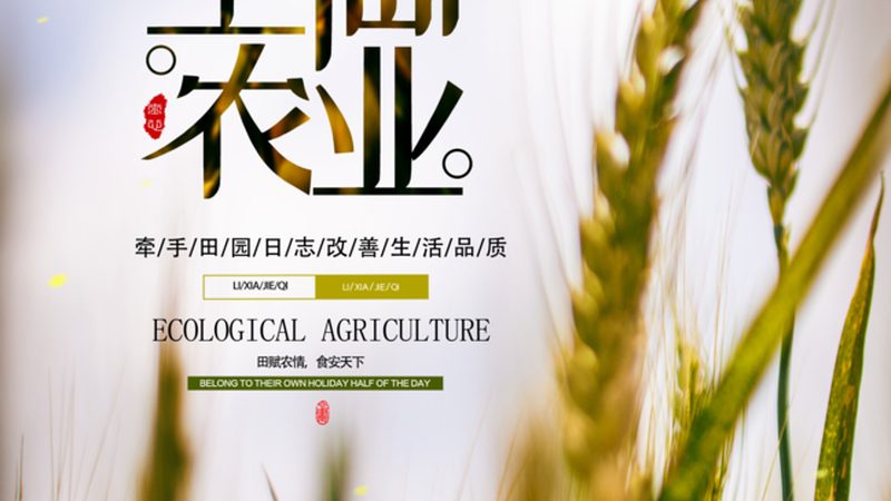 农产品批发代理：新手入行，如何开启高效之路？**
