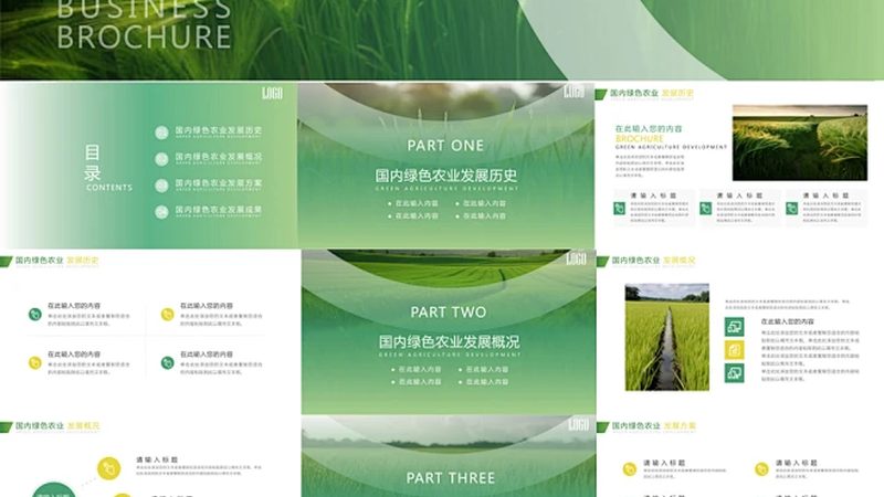 冬季大棚蔬菜种植技术要点解析